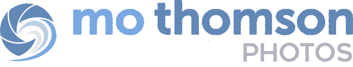 Mo Thomson - photos icon