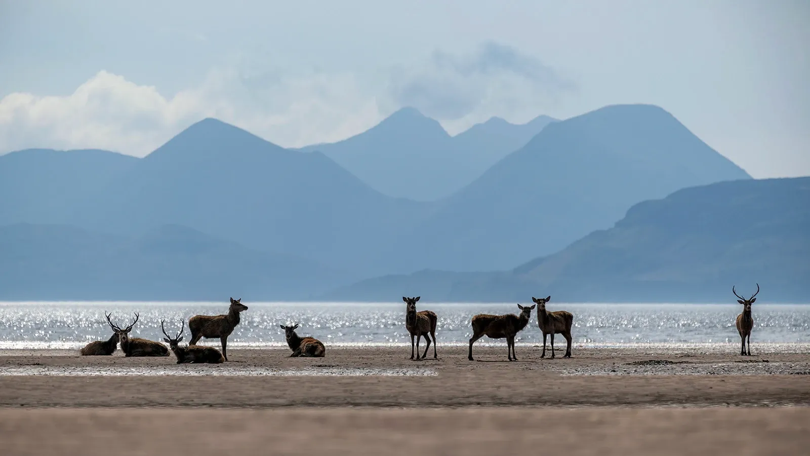Where the Highlands meet the tide