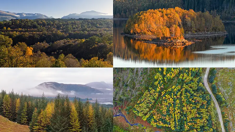 Autumn 2025 - part one
