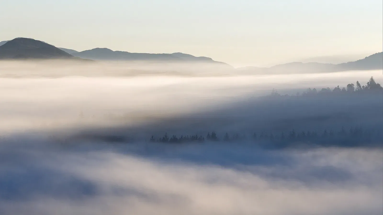 Autumn morning mist