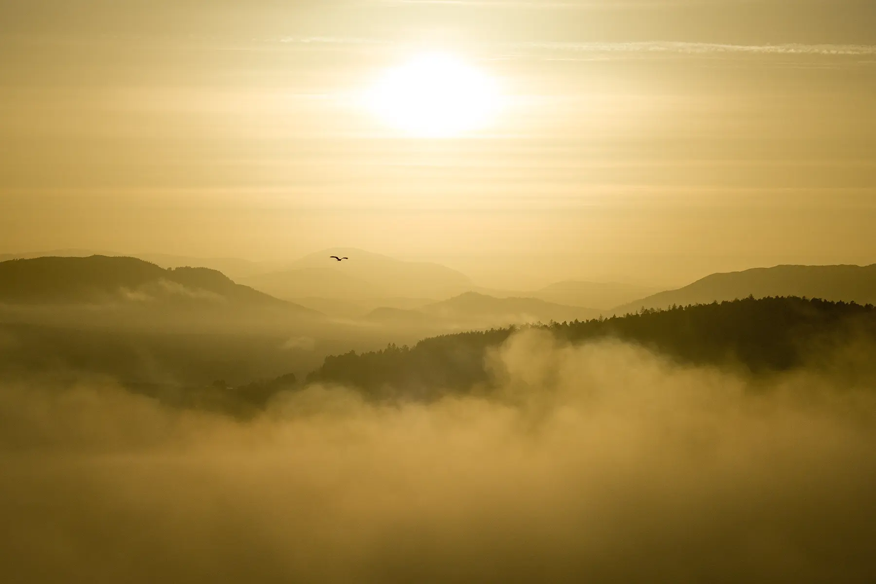 Sunset at the end of 2025