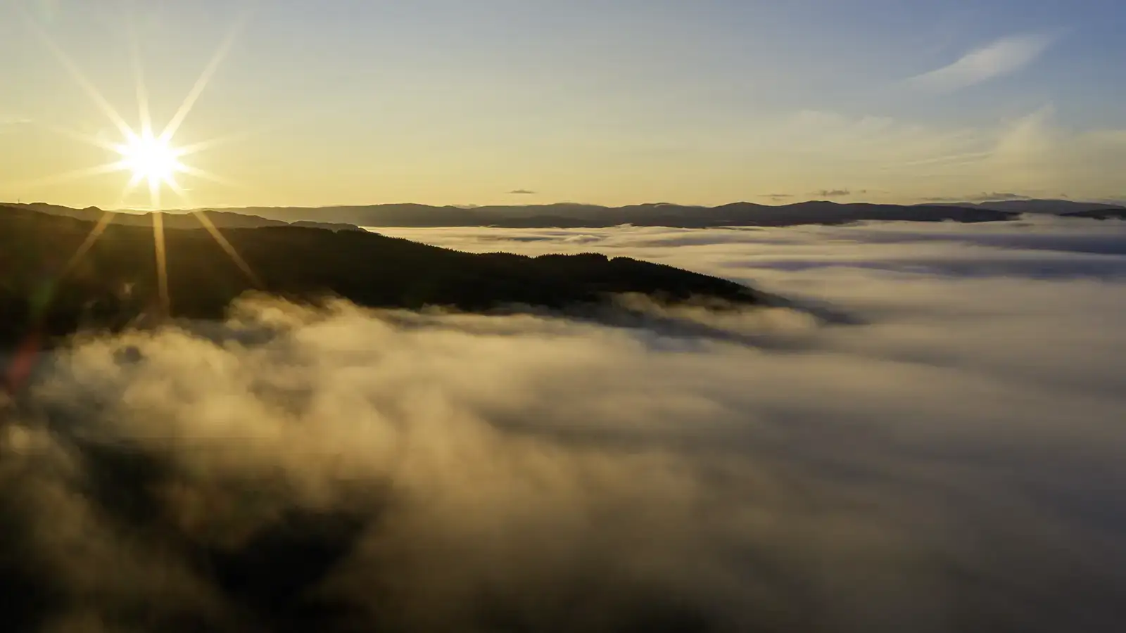 An early morning with the mist.