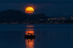 July's Buck Moon
