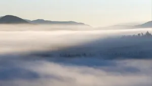 Autumn morning mist