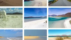 Harris beach gallery